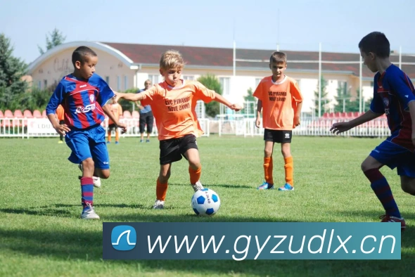 米兰app官网入口APP 体育赛事宣传图